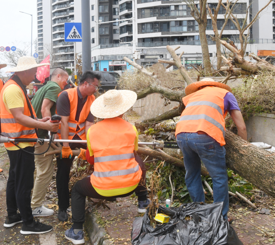 “一、二、三，，起！”尊龙凯时党员带动投身灾后重修事情